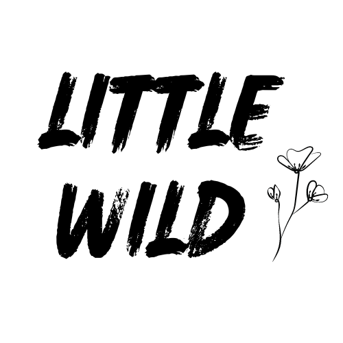 Little Wild | Fotografie & Communicatie